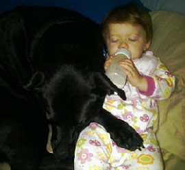 Babies and Dogs